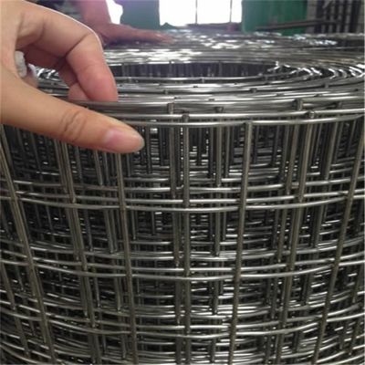 Rust Proof Galvanized 50 * 50mm Welded Wire Mesh Rào 1/4 Inch lỗ vuông thép Weld Mesh bởi nhà sản xuất Giá bán buôn