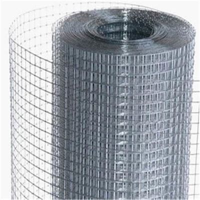 Hot đắm galvanized sắt hàn dây lưới cuộn chim lồng gà bút