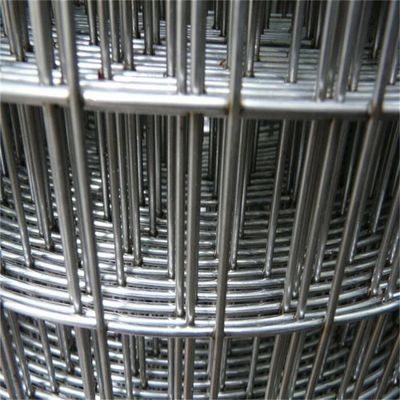 Tùy chỉnh 4ftx50ft kẽm hàn lưới sợi sợi Chicken Bird Cage Mesh Sợi