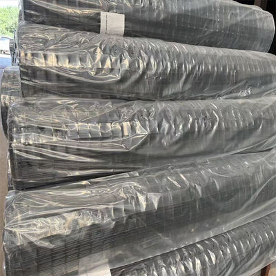 Giá nhà máy chất lượng cao 50x50mm xanh PVC phủ Hà Lan hàn lưới sợi hàng rào tấm cho Euro hàng rào
