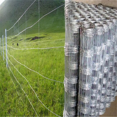 Phòng chăn nuôi chất lượng cao cho trang trại cừu / cánh đồng gia súc / nai