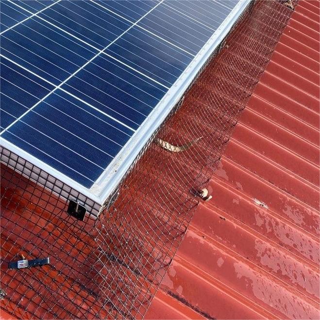 Đen PVC phủ sợi d&acirc;y h&agrave;n h&agrave;ng r&agrave;o Quadrat 1/2 Ống h&agrave;n galvanized trong cuộn 10