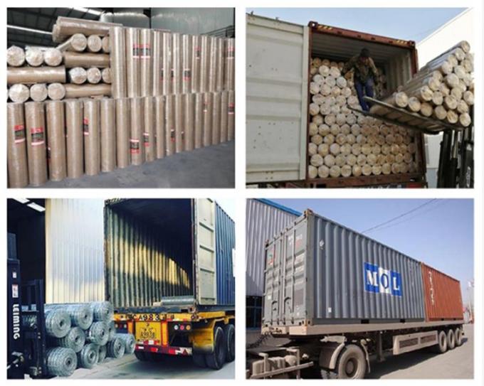 Có thể tùy biến 304 316 316L Dải dệt đơn giản Stainless Steel Wire Mesh Kháng kiềm 10