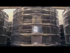 PVC Euro Wire Mesh hàng rào
